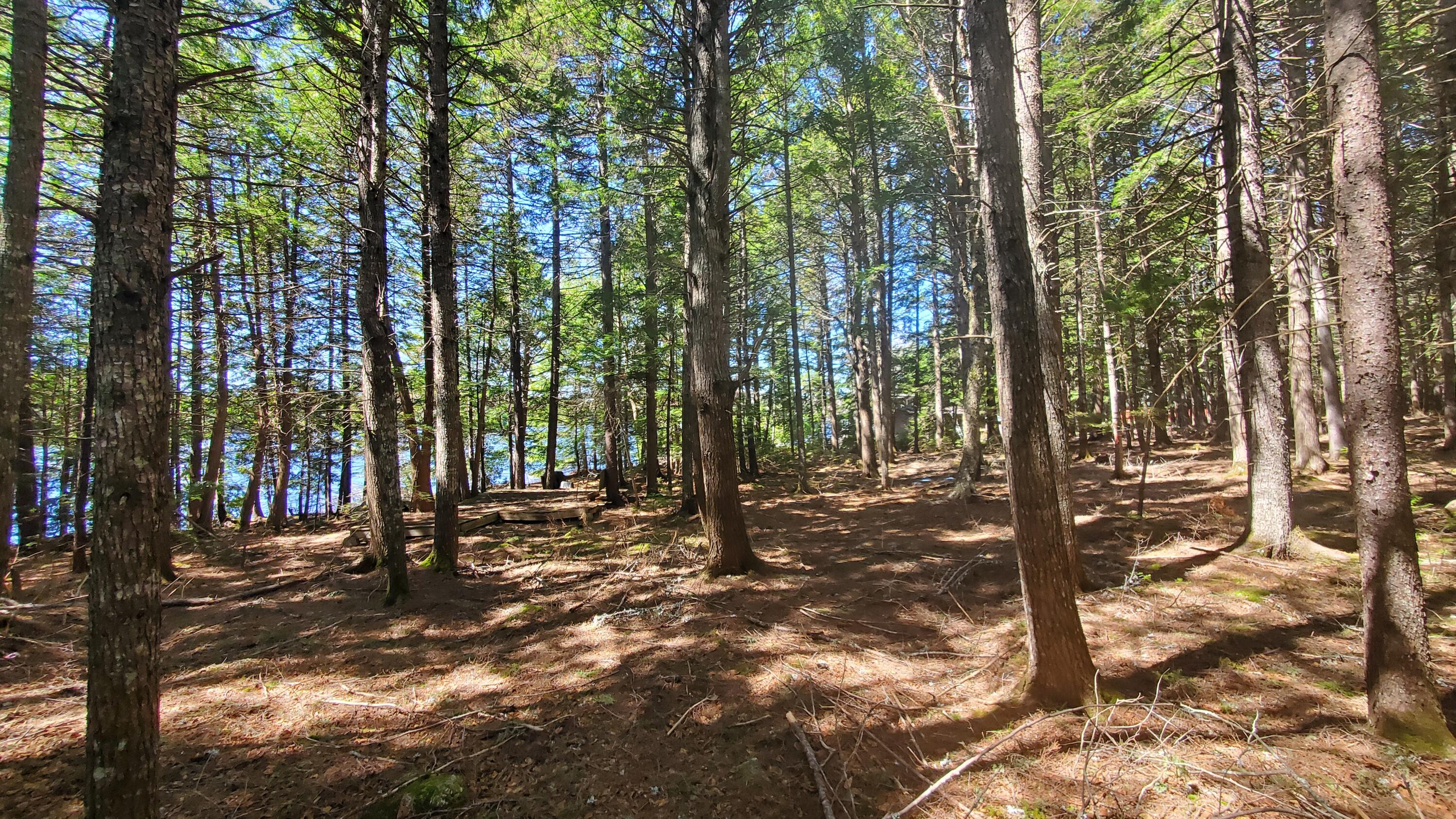 307 Lakeville Shores Road Property Photo 20