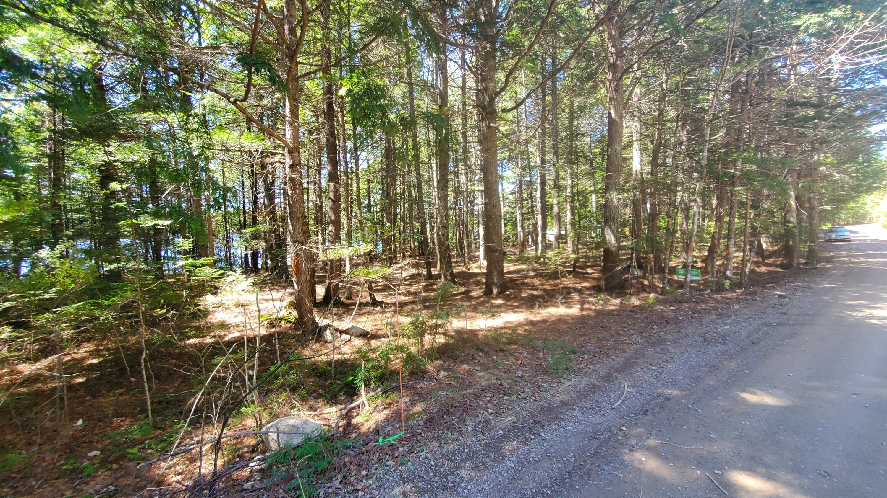 307 Lakeville Shores Road Property Photo 25