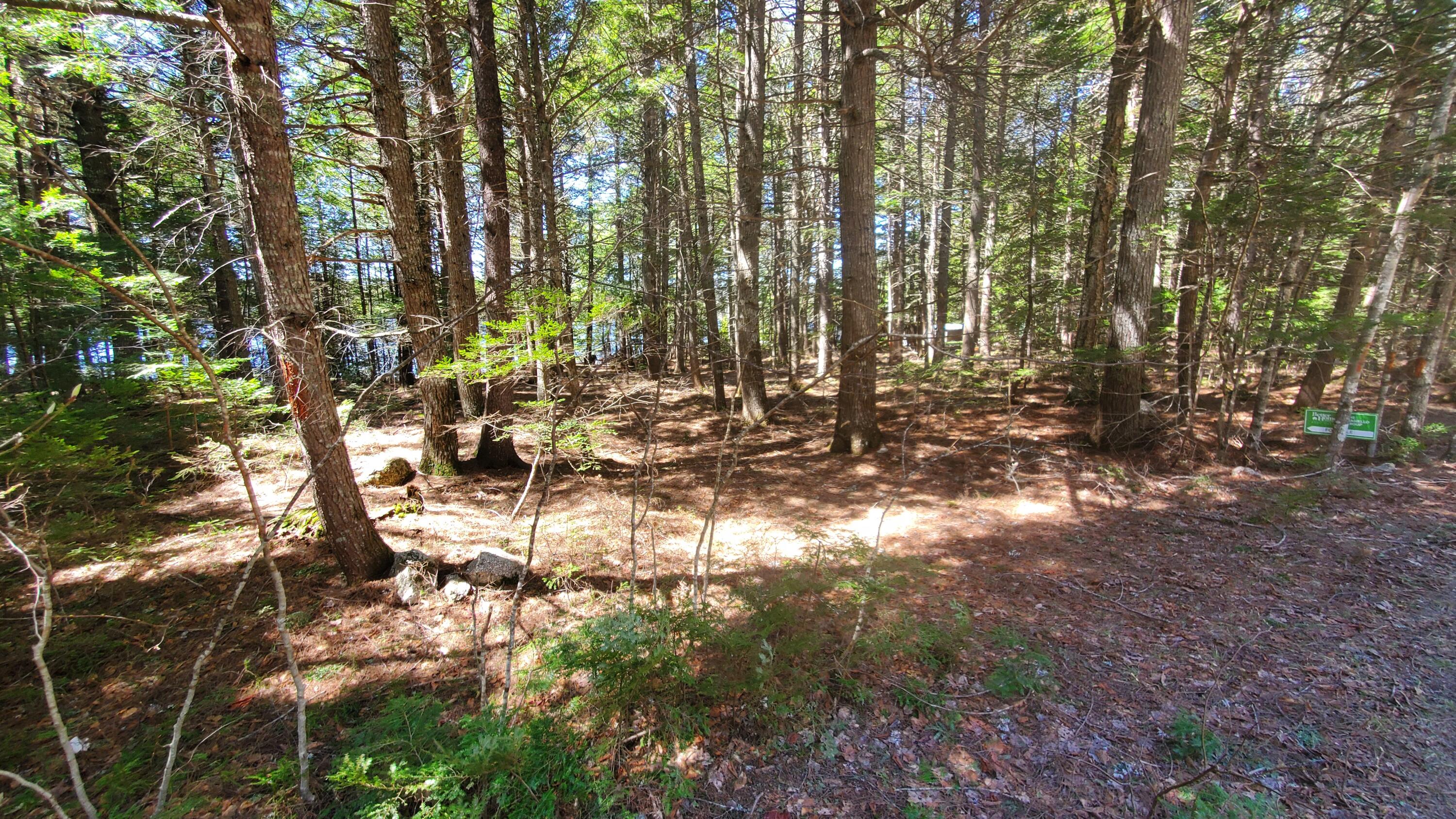 307 Lakeville Shores Road Property Photo 26