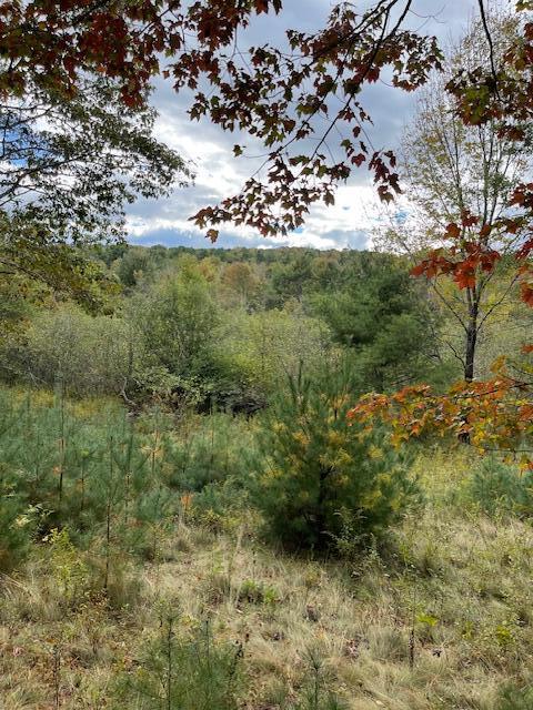 Map4lot3 E Bucksport Road Property Photo 15