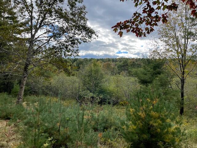 Map4lot3 E Bucksport Road Property Photo 17