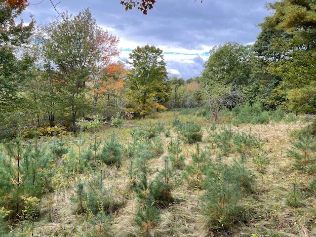 Map4lot3 E Bucksport Road Property Photo 18
