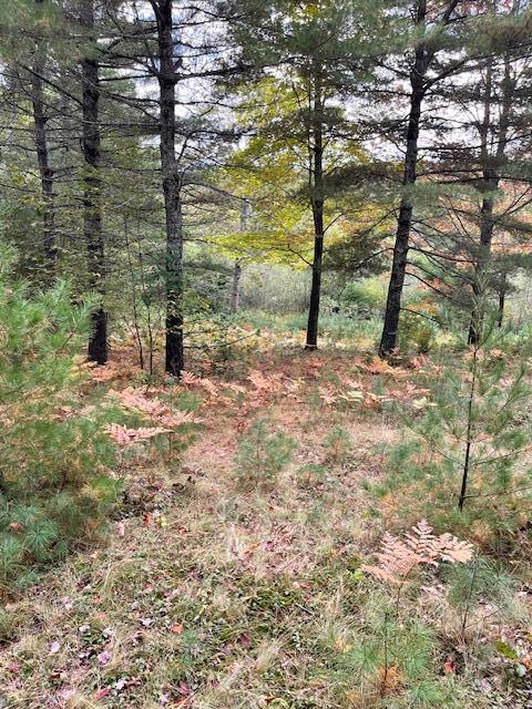 Map4lot3 E Bucksport Road Property Photo 19