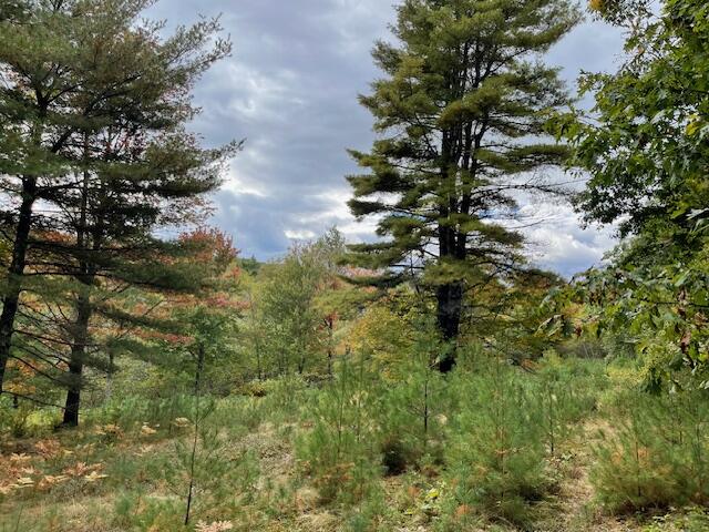 Map4lot3 E Bucksport Road Property Photo 20