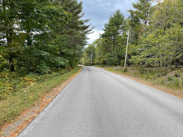 Map4lot3 E Bucksport Road Property Photo 21
