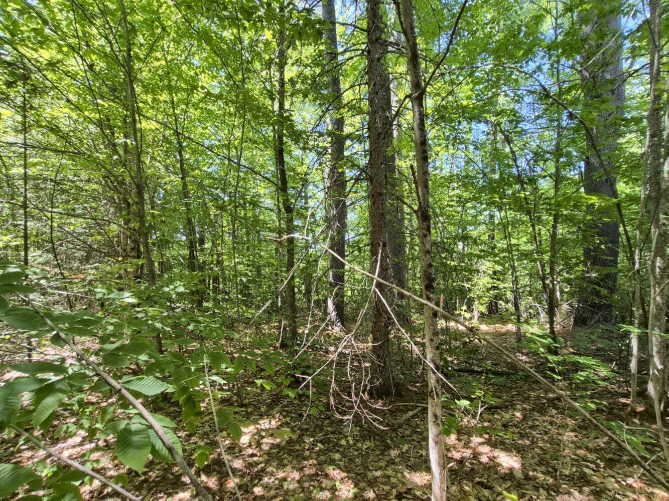 Mu23 L19b Holley Road Property Photo 1