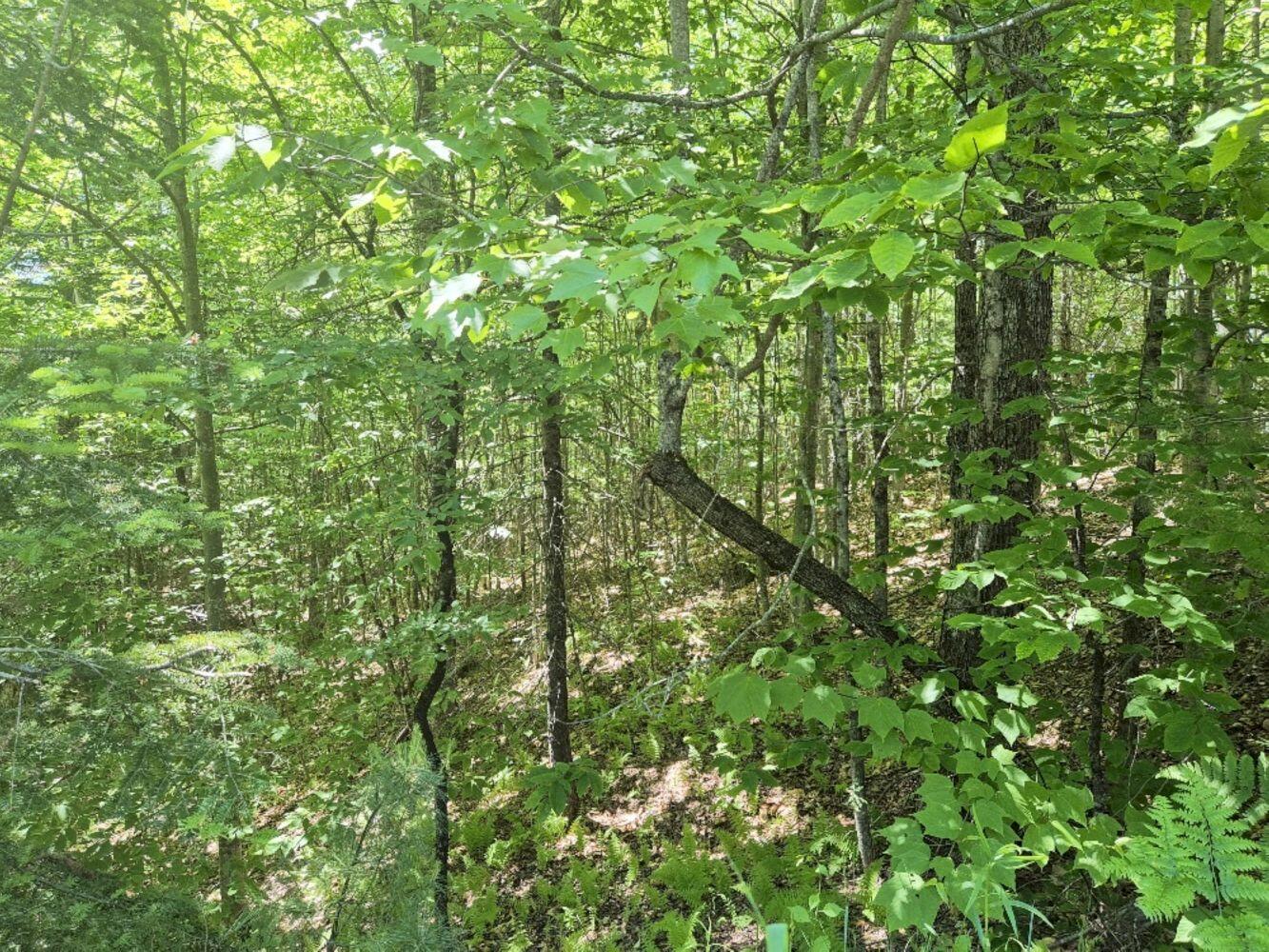 Mu23 L19b Holley Road Property Photo 4
