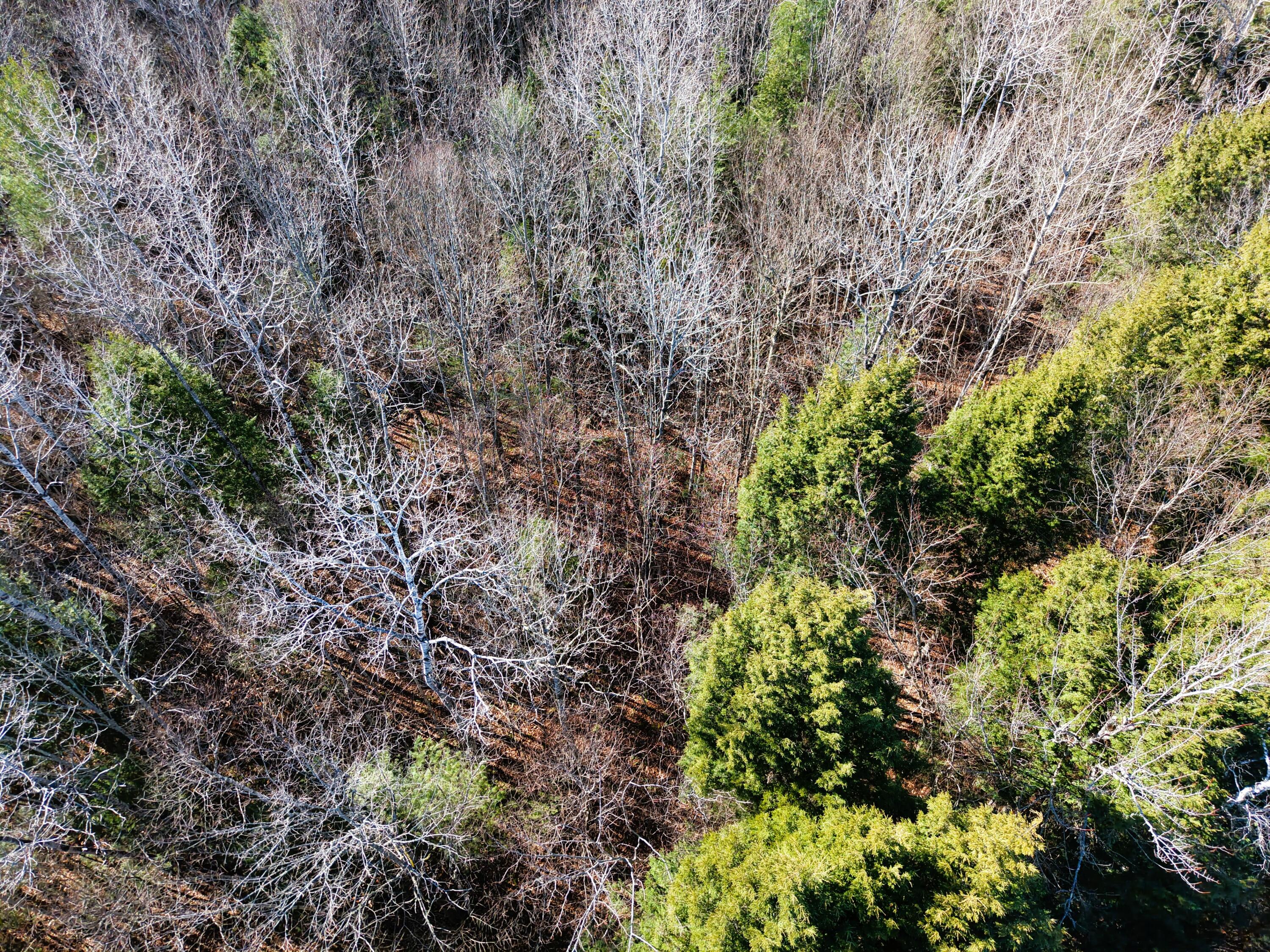 M7 L19-5 Pine Bluff Road Property Photo 8