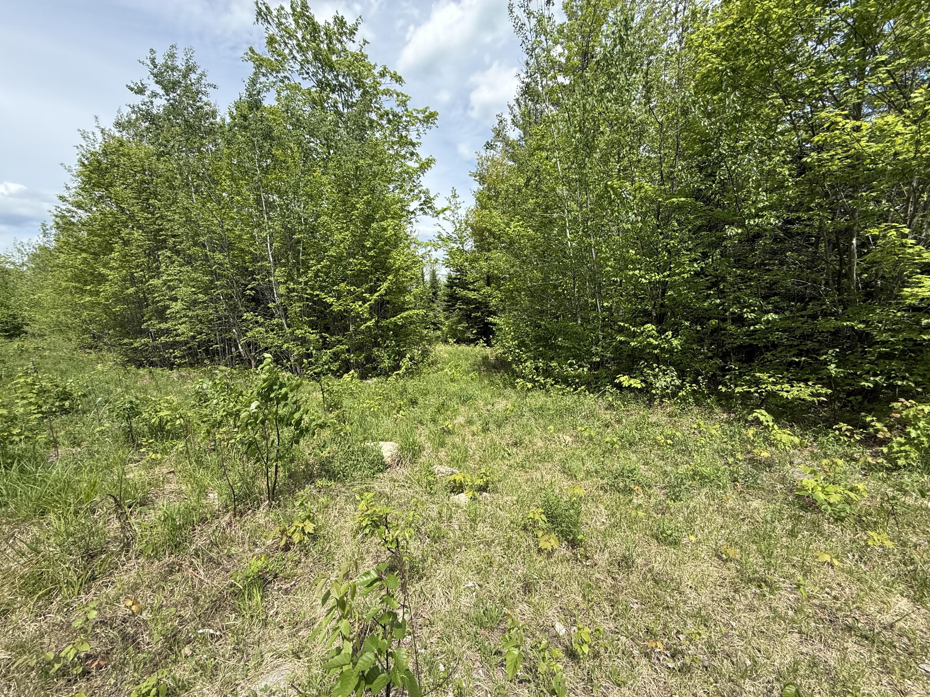 R6l9 Dickey Mills Road Property Photo 6