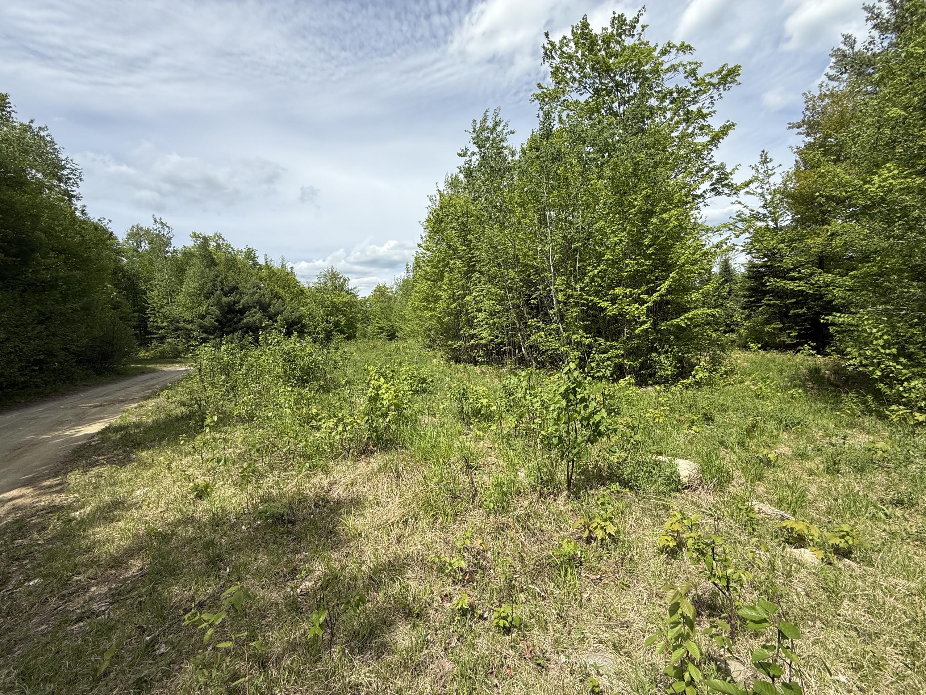 R6l9 Dickey Mills Road Property Photo 9