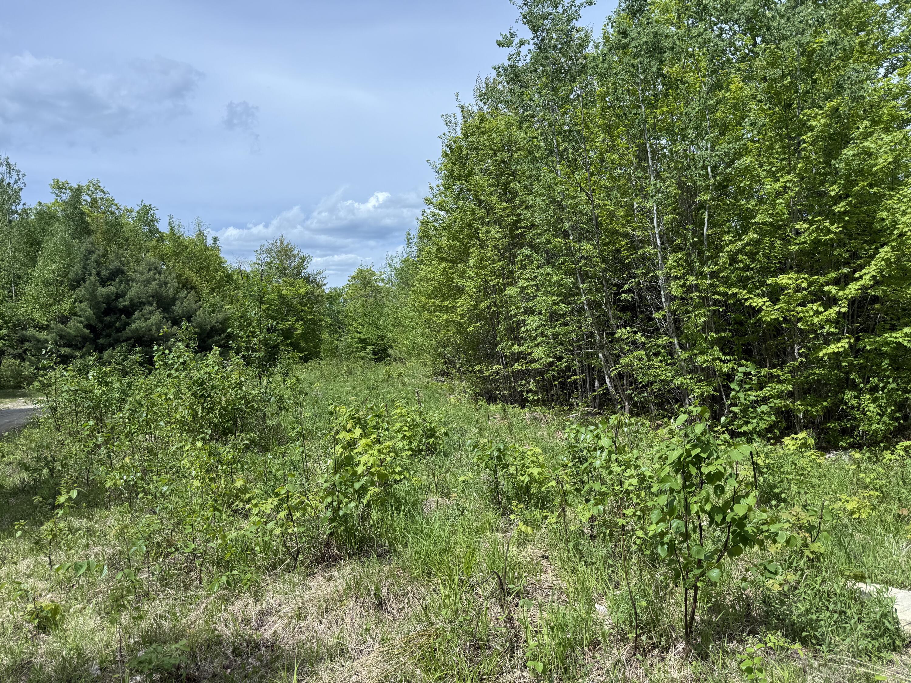 R6l9 Dickey Mills Road Property Photo 10