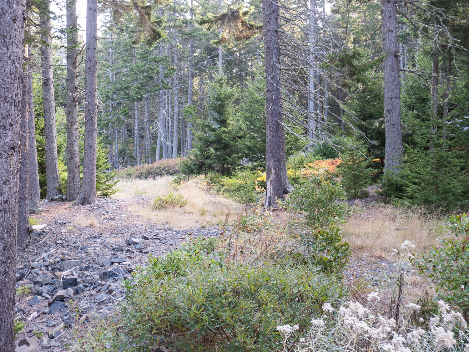 63 Minturn Road Property Photo 15