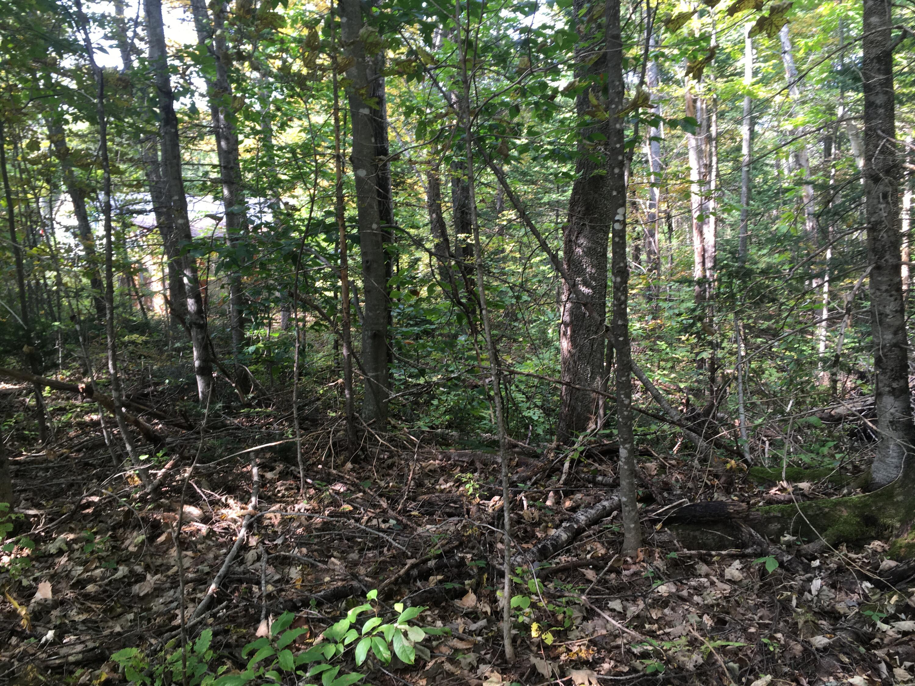 228 S Stagecoach Road Property Photo 17