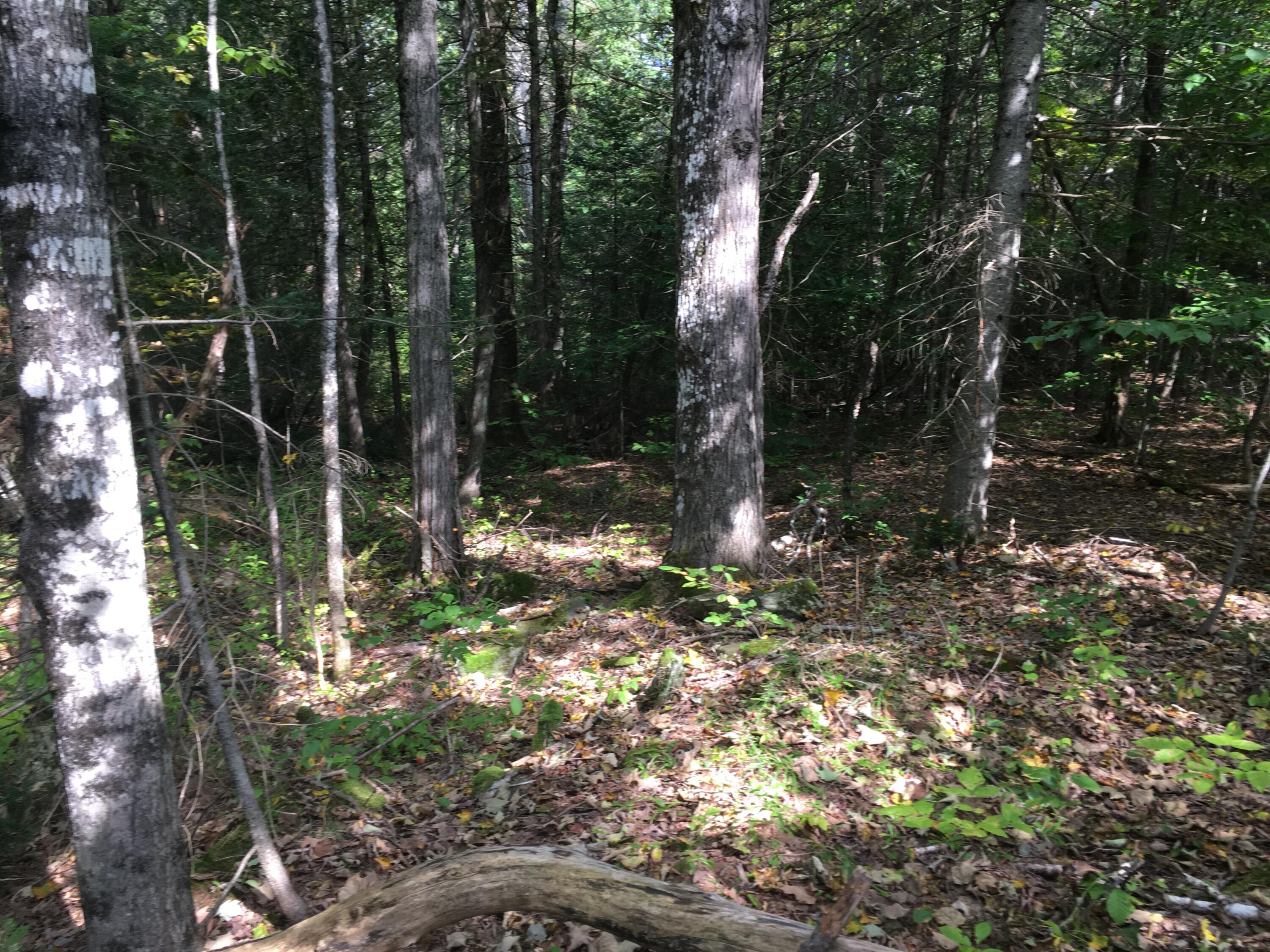 228 S Stagecoach Road Property Photo 19