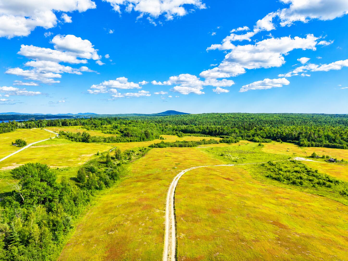 Map19lot28 Leach Road Property Photo 4