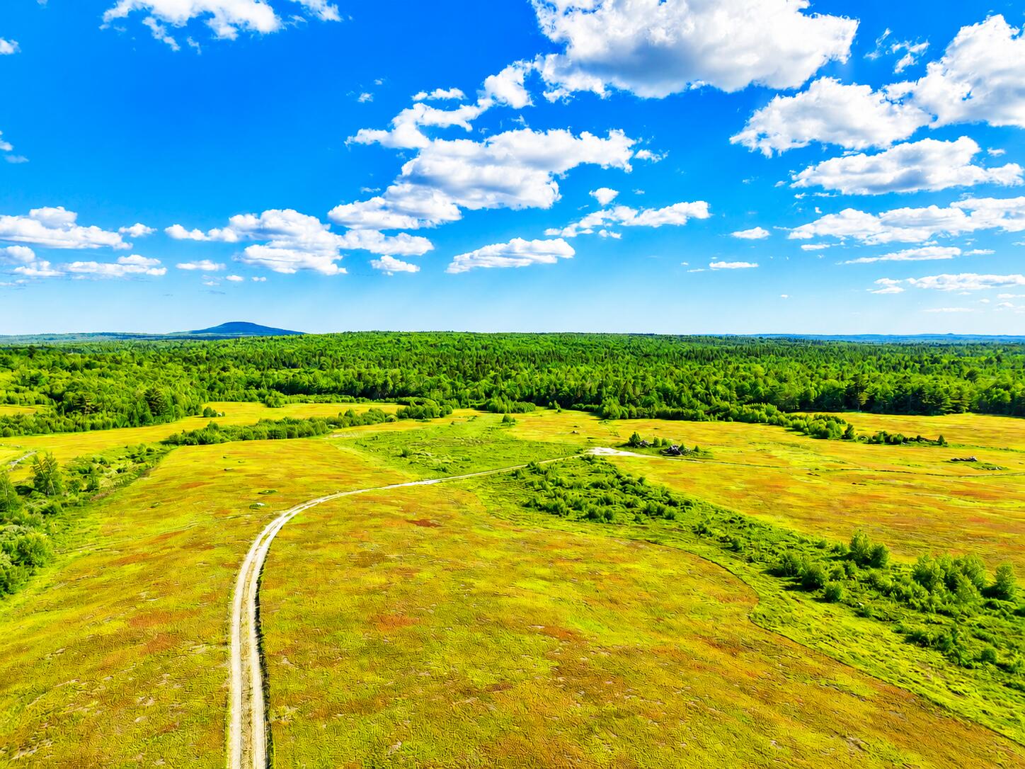 Map19lot28 Leach Road Property Photo 5