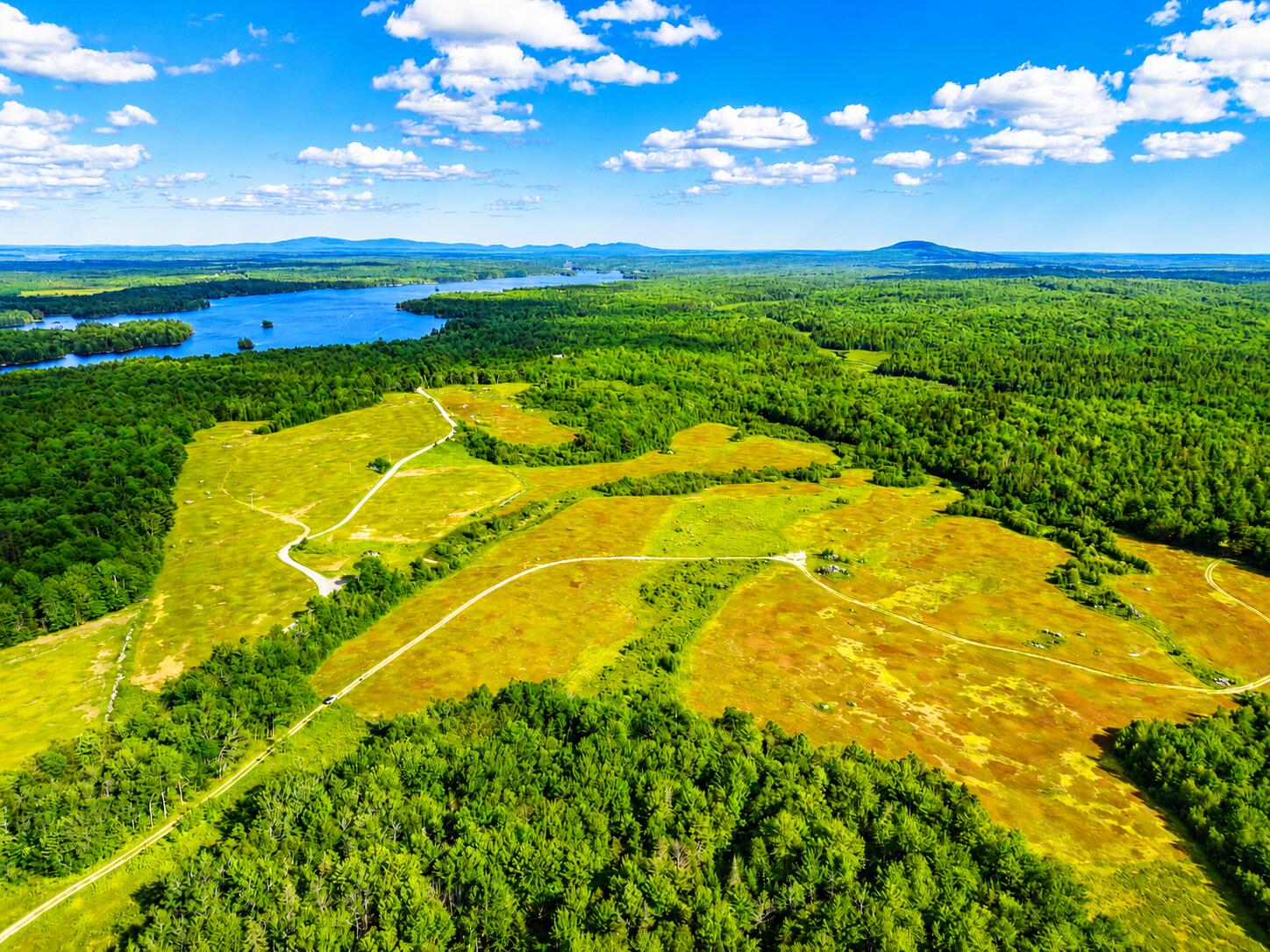Map19lot28 Leach Road Property Photo 12