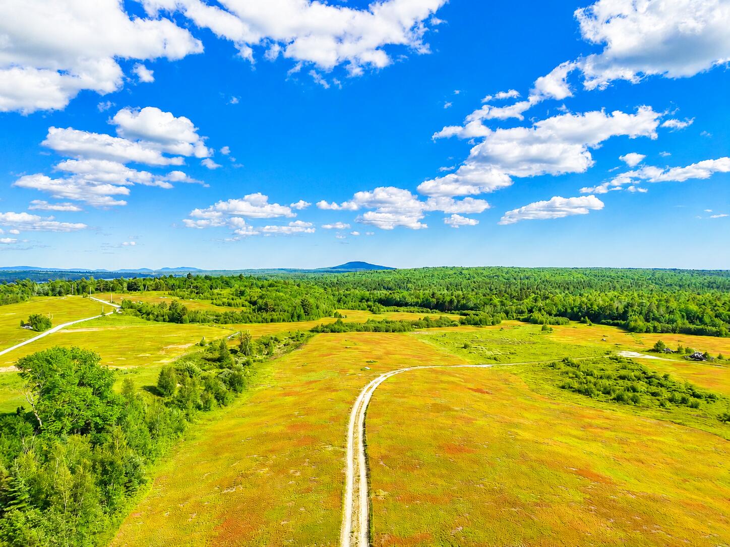 Map19lot28 Leach Road Property Photo 16