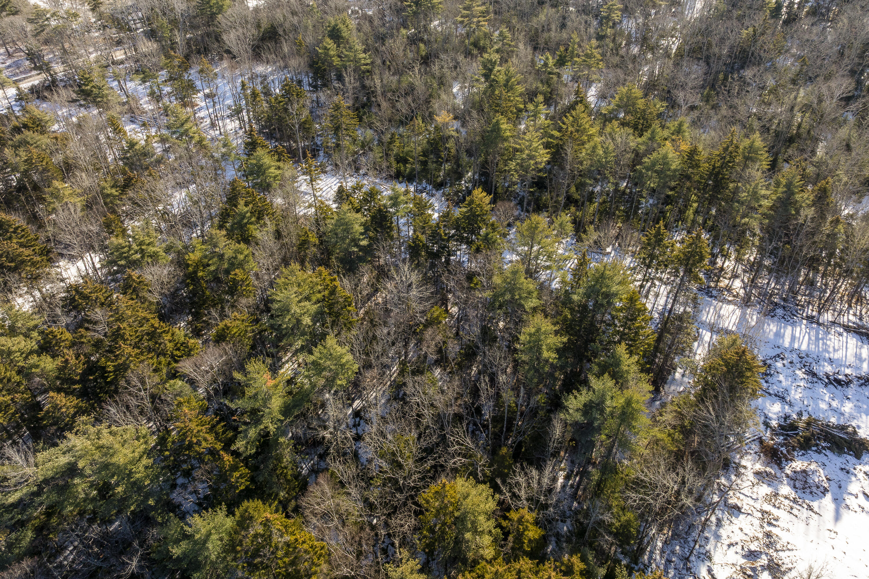 Map 004 Lot 089-03 Property Photo 10