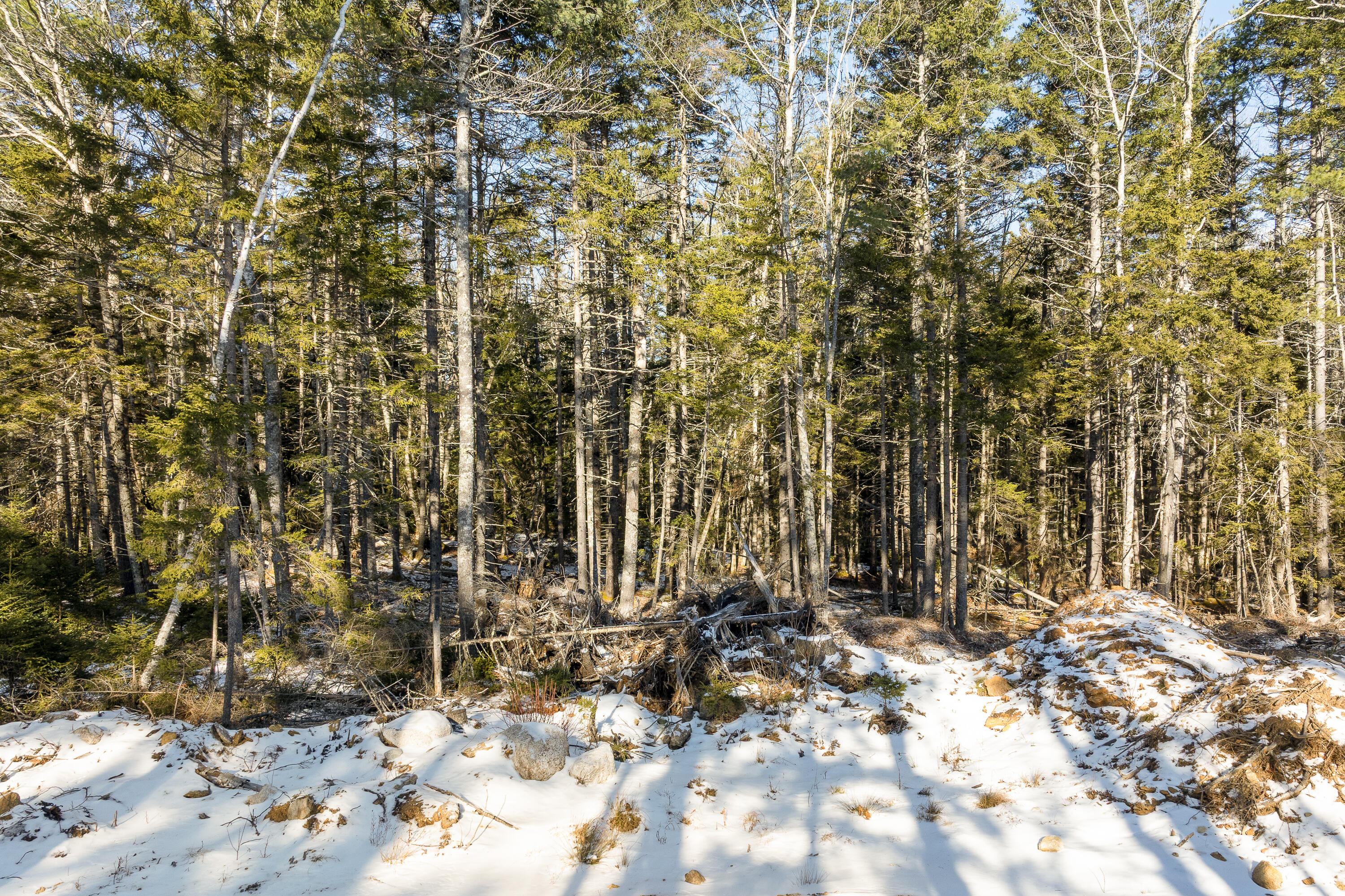 Map 004 Lot 089-03 Property Photo 14