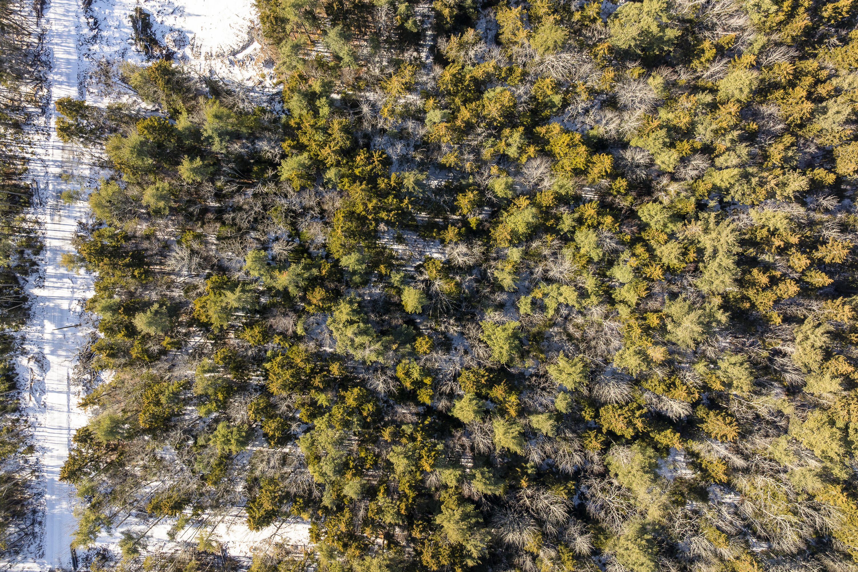 Map 004 Lot 089-03 Property Photo 15