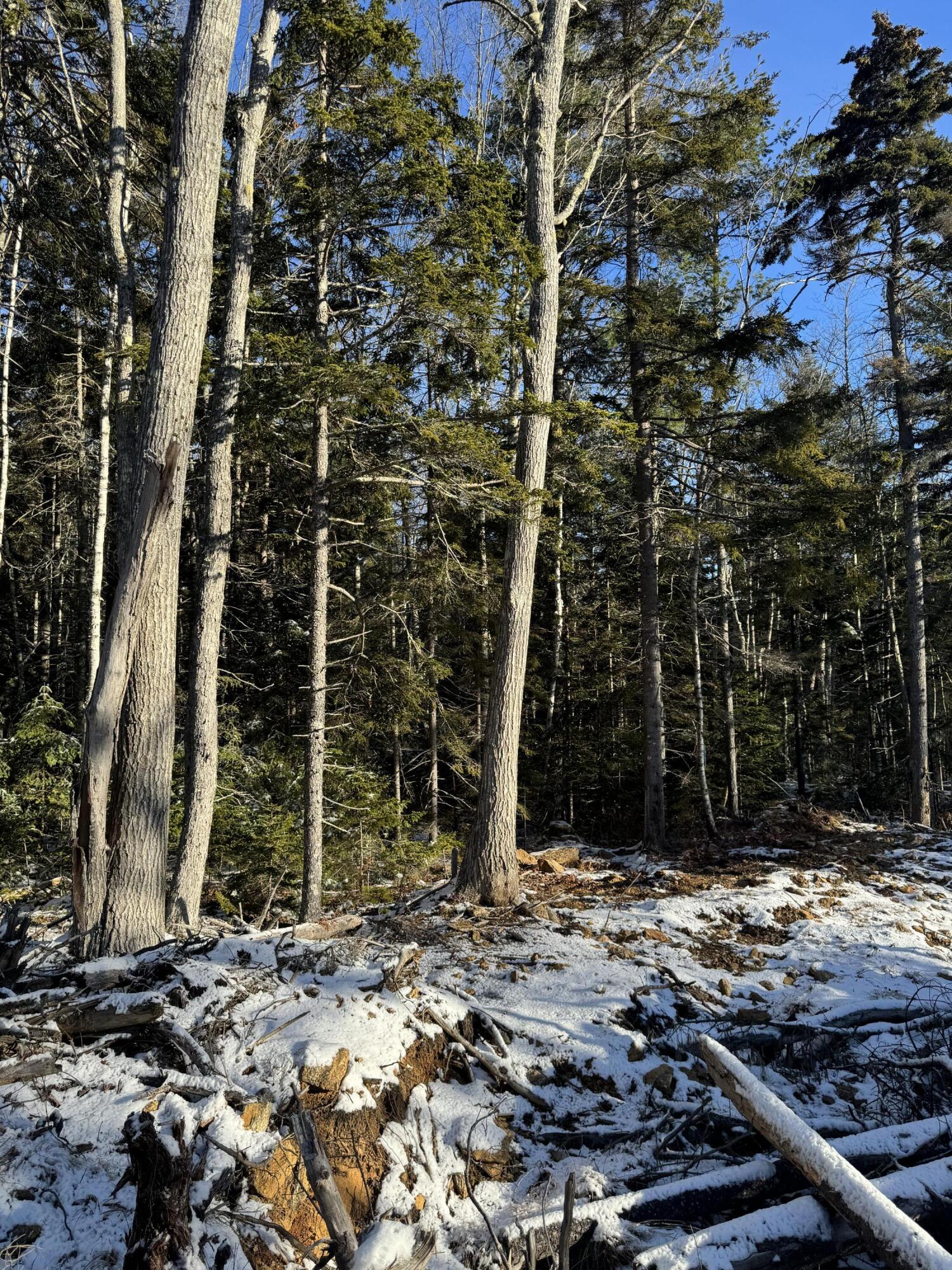 Map 004 Lot 089-03 Property Photo 16