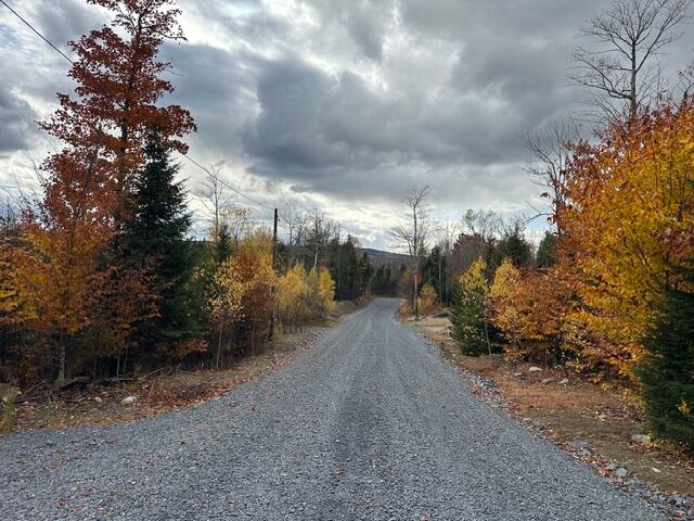 Lot C S Whitetail Way Property Photo 3