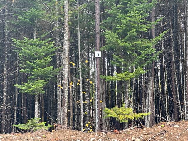 Lot C S Whitetail Way Property Photo 5