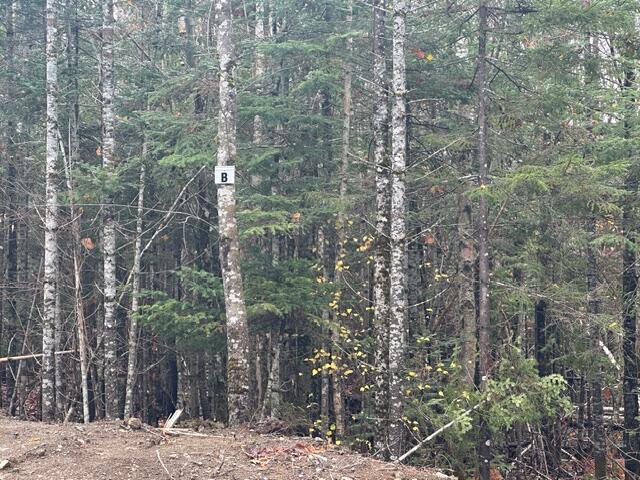 Lot C S Whitetail Way Property Photo 6