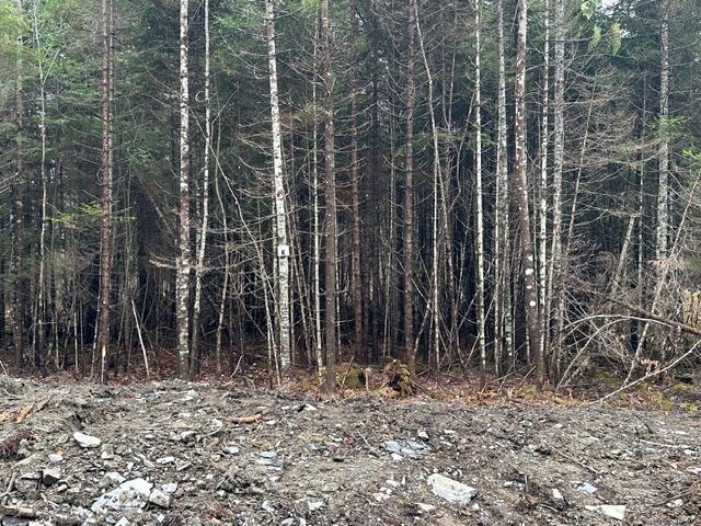 Lot C S Whitetail Way Property Photo 10