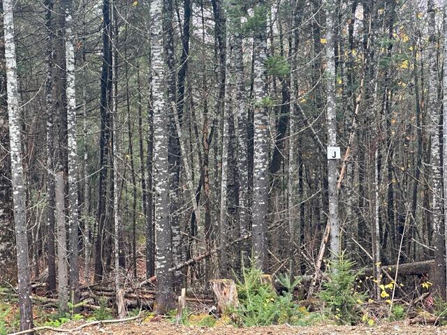 Lot C S Whitetail Way Property Photo 11