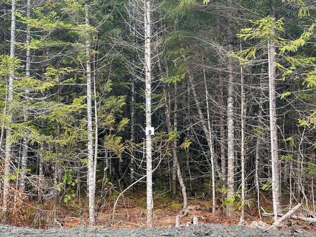 Lot C S Whitetail Way Property Photo 14