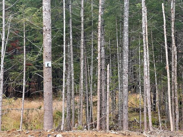Lot C S Whitetail Way Property Photo 15
