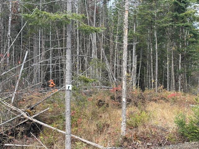 Lot C S Whitetail Way Property Photo 16