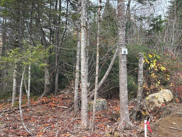 Lot C S Whitetail Way Property Photo 18