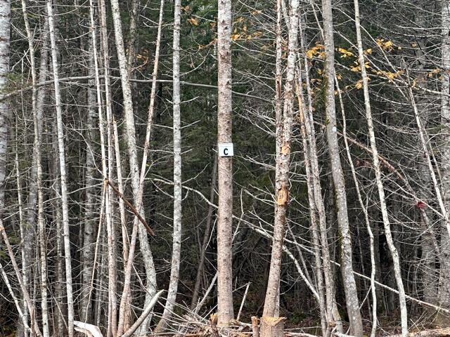 Lot C S Whitetail Way Property Photo 20
