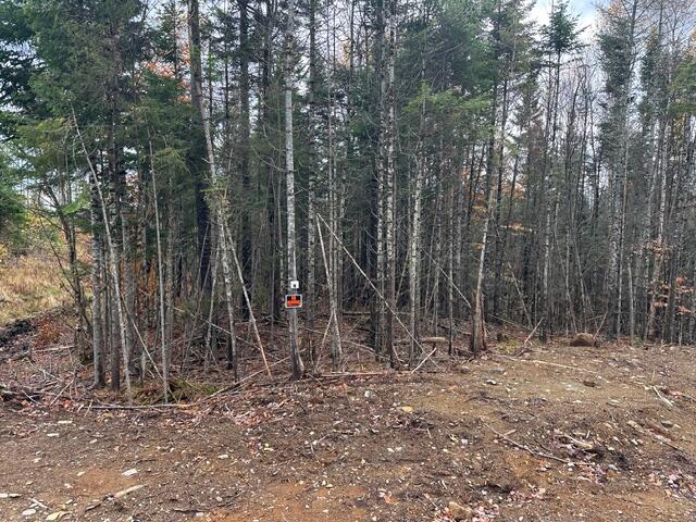 Lot ''N'' S Whitetail Way Property Photo 1