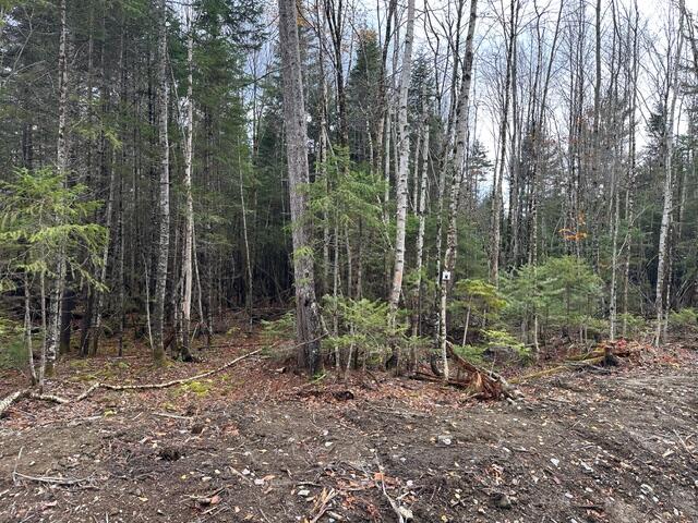 Lot ''n'' S Whitetail Way Property Photo 8