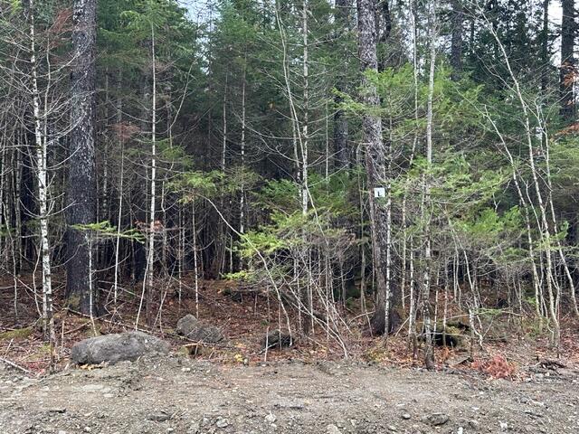 Lot ''n'' S Whitetail Way Property Photo 9