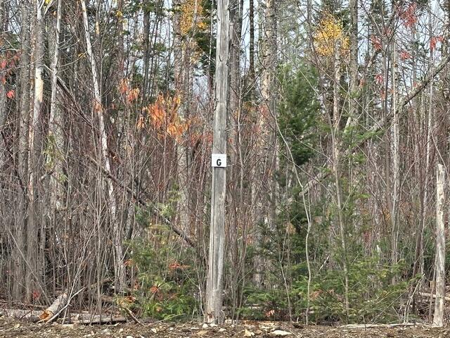 Lot ''n'' S Whitetail Way Property Photo 17