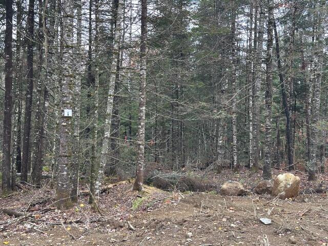 Lot ''n'' S Whitetail Way Property Photo 19