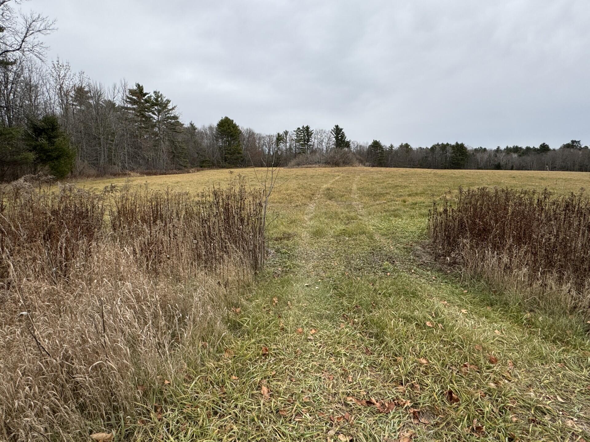 Lot 45-1 Route 220 Property Photo 1