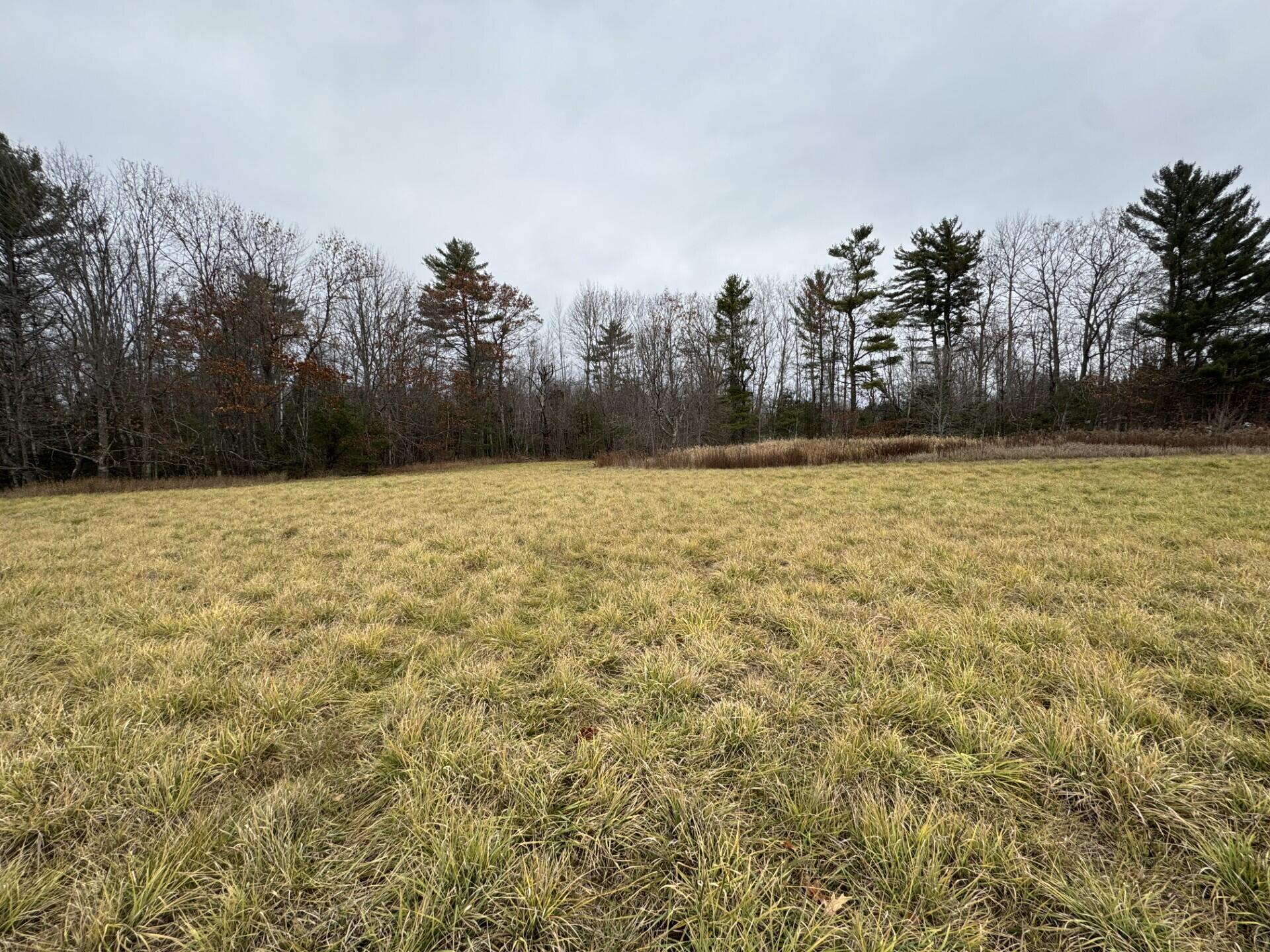 Lot 45-1 Route 220 Property Photo 2