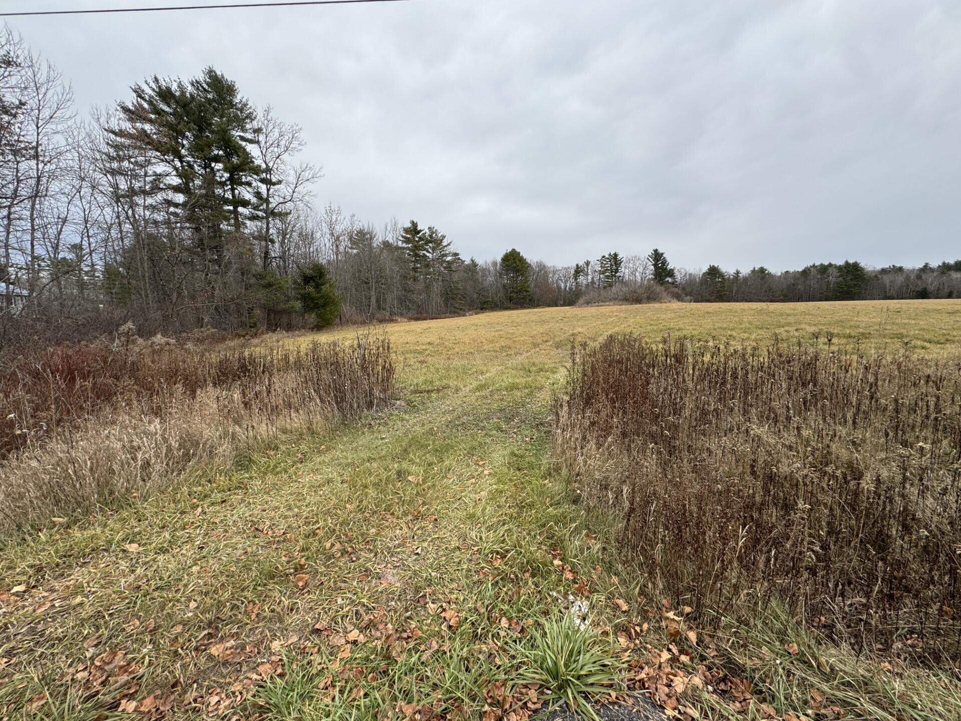 Lot 45-1 Route 220 Property Photo 5