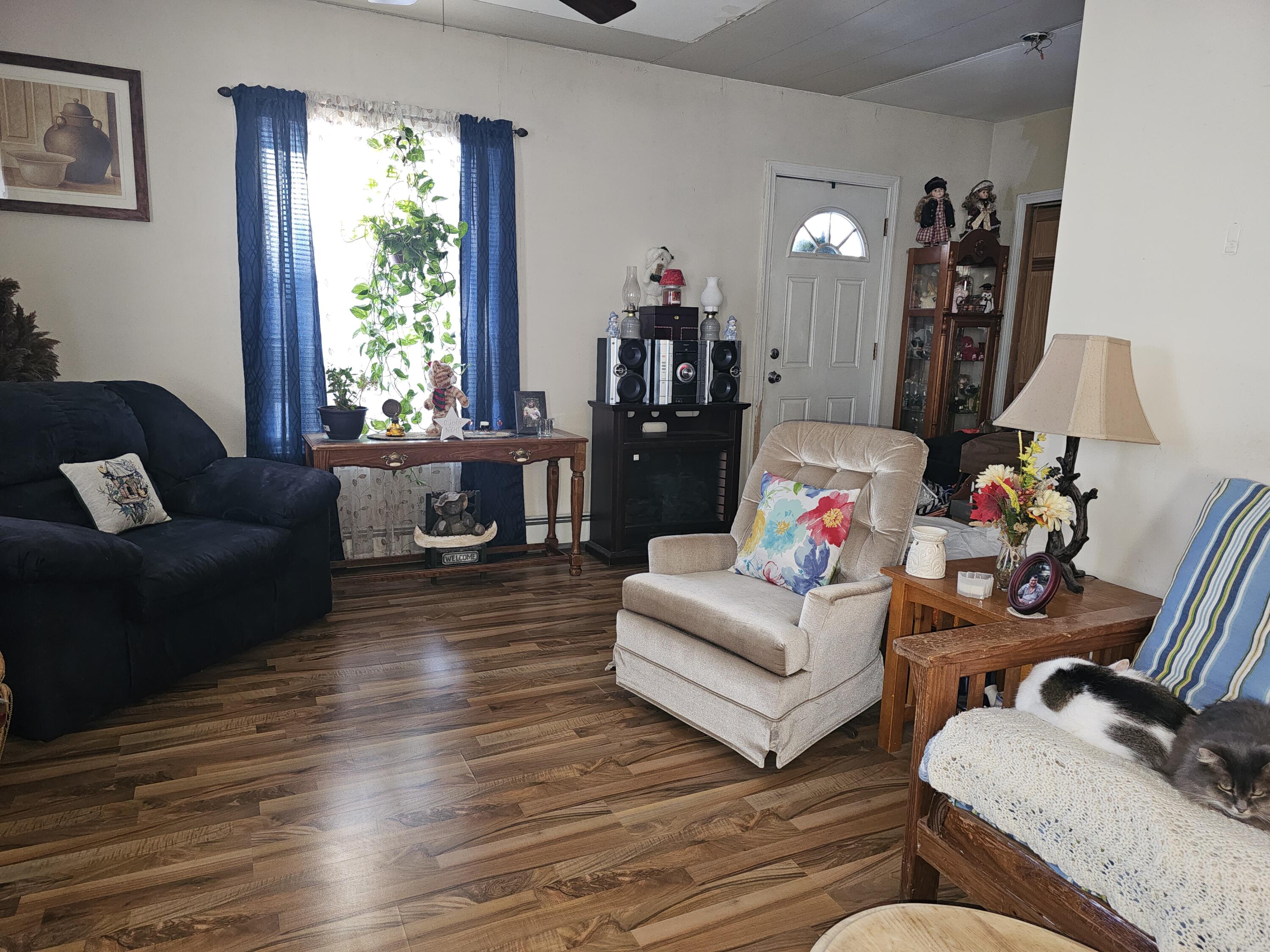 234 Knox Street Property Photo 4