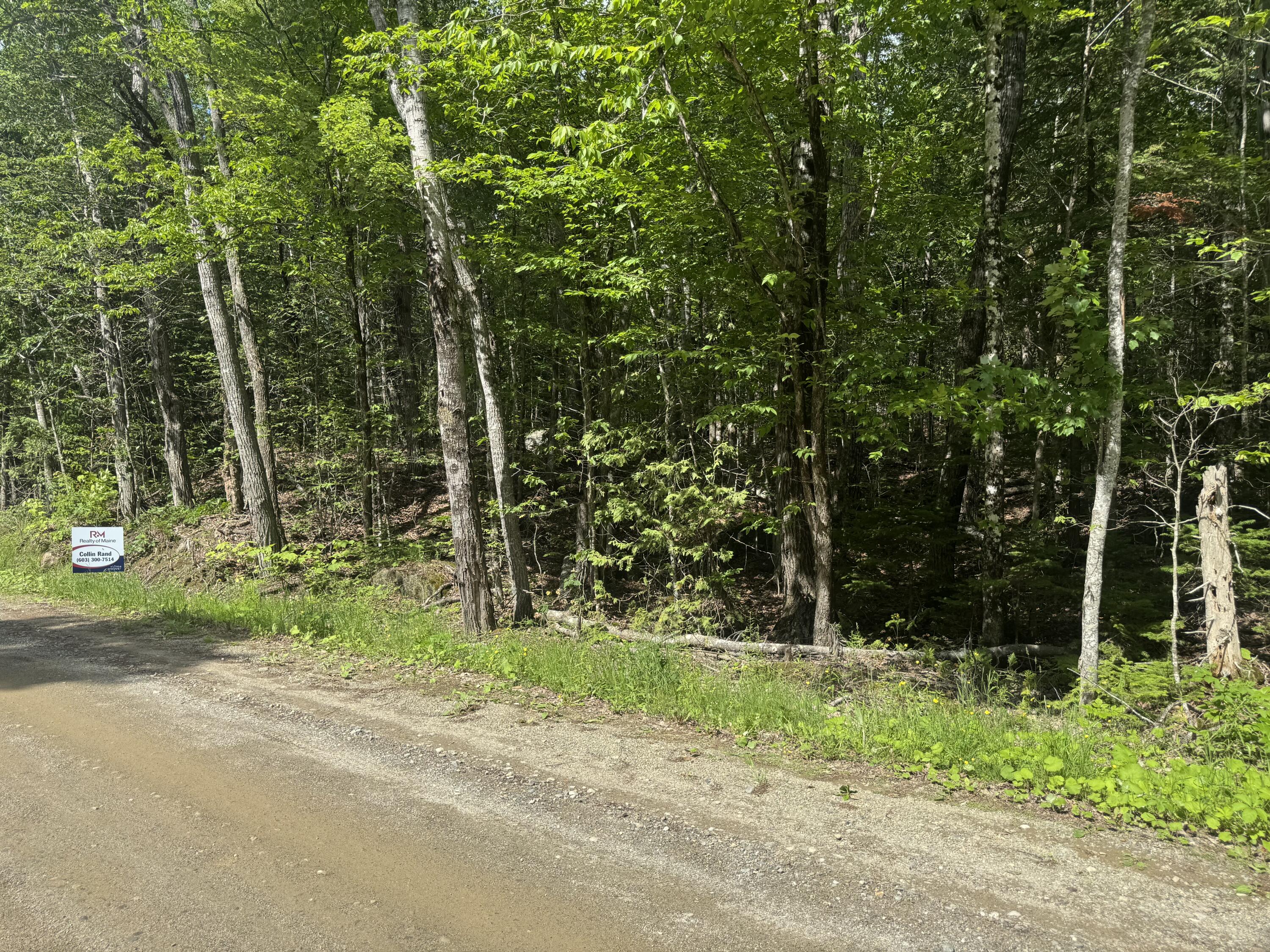 Lot 7 Curtis Farm Road Property Photo 1
