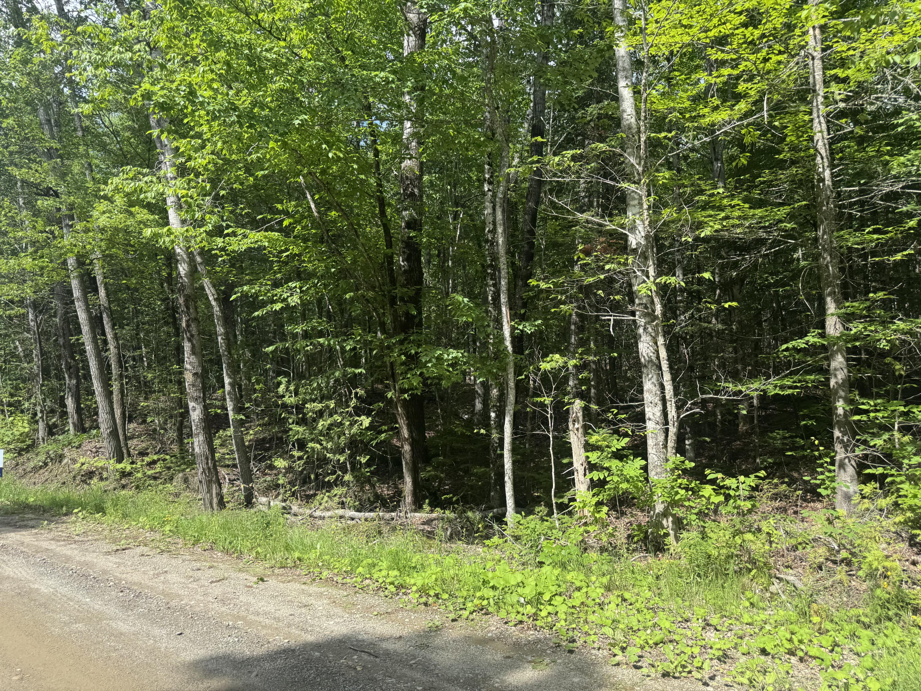 Lot 7 Curtis Farm Road Property Photo 2