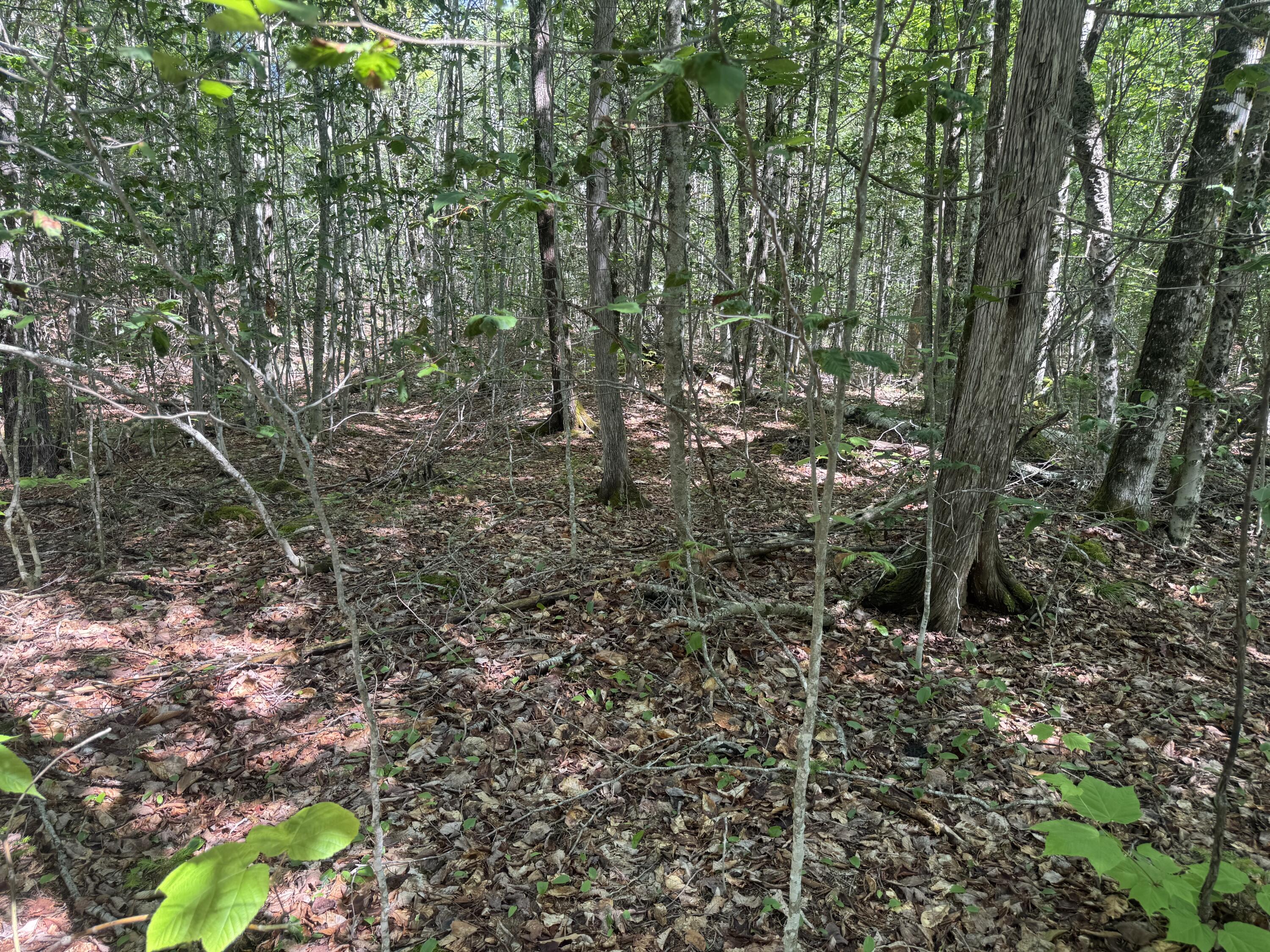 Lot 7 Curtis Farm Road Property Photo 5