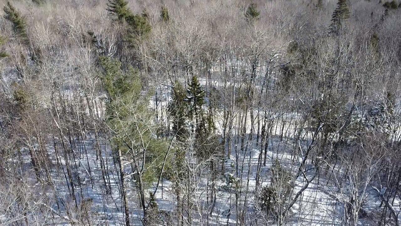 Lot 7 Curtis Farm Road Property Photo 11