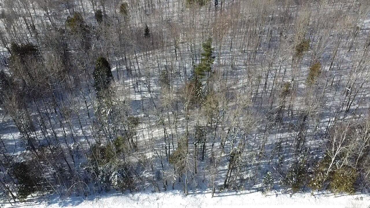 Lot 7 Curtis Farm Road Property Photo 12